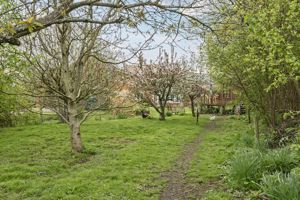 Photo 27- click for photo gallery